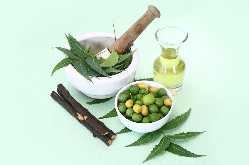 Does Neem Oil Work on Fungus: Use Neem Oil for Fungal Infections