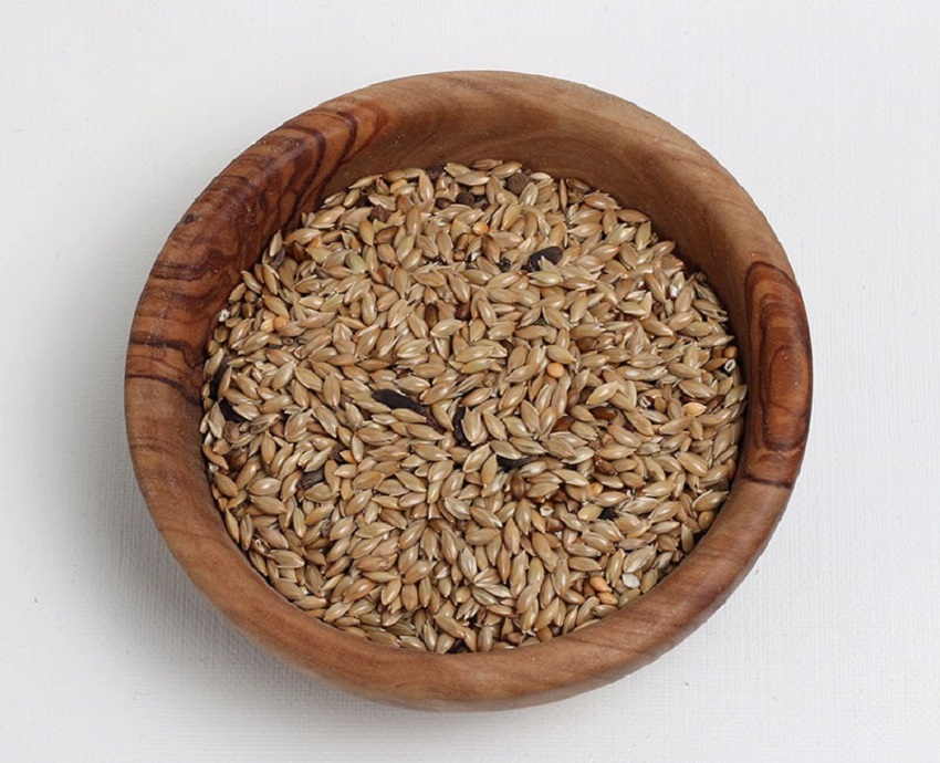 Is Canary Seed Good for Humans